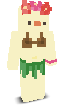 User's Minecraft appearance
