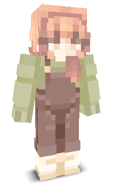 User's Minecraft appearance