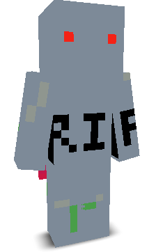 User's Minecraft appearance