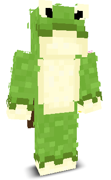 User's Minecraft appearance