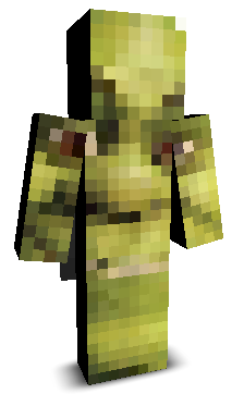 User's Minecraft appearance