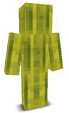 User's Minecraft appearance
