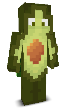 User's Minecraft appearance