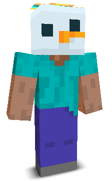 User's Minecraft appearance