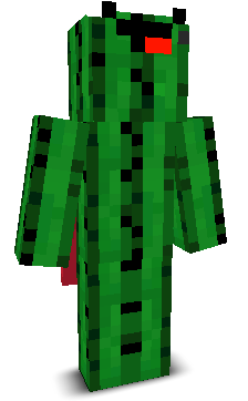 User's Minecraft appearance