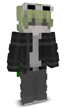 User's Minecraft appearance