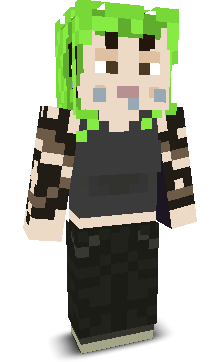 User's Minecraft appearance