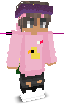 User's Minecraft appearance