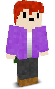 User's Minecraft appearance
