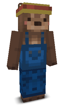User's Minecraft appearance