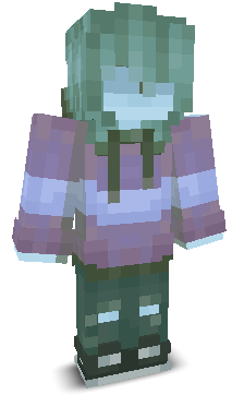 User's Minecraft appearance