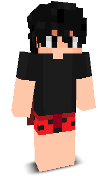 User's Minecraft appearance