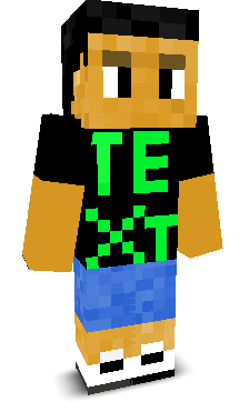 User's Minecraft appearance