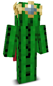 User's Minecraft appearance