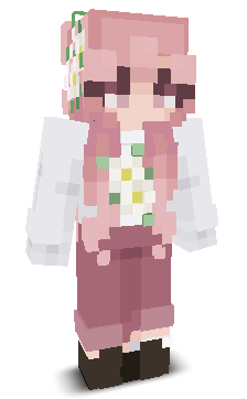 User's Minecraft appearance