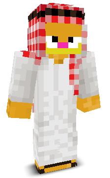 User's Minecraft appearance