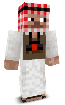 User's Minecraft appearance
