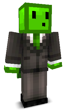 User's Minecraft appearance