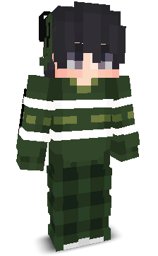User's Minecraft appearance