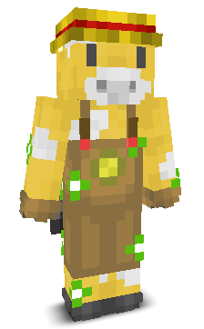 User's Minecraft appearance