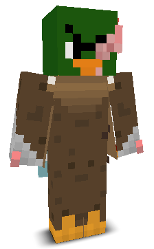 User's Minecraft appearance