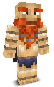 User's Minecraft appearance