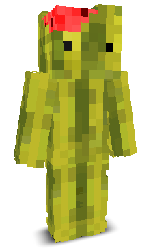 User's Minecraft appearance