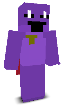 User's Minecraft appearance