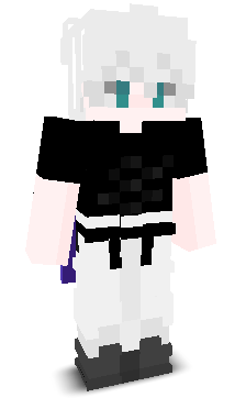 User's Minecraft appearance