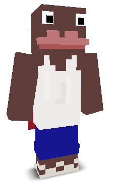 User's Minecraft appearance