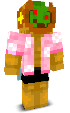 User's Minecraft appearance