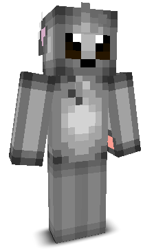 User's Minecraft appearance
