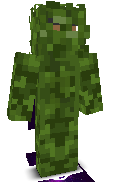 User's Minecraft appearance