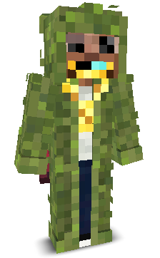 User's Minecraft appearance
