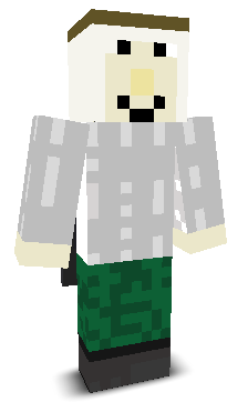 User's Minecraft appearance