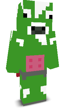 User's Minecraft appearance