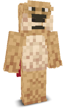 User's Minecraft appearance