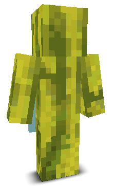 User's Minecraft appearance