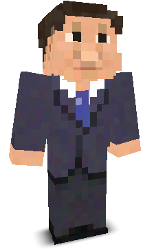 User's Minecraft appearance
