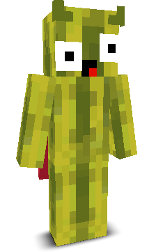 User's Minecraft appearance