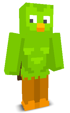 User's Minecraft appearance