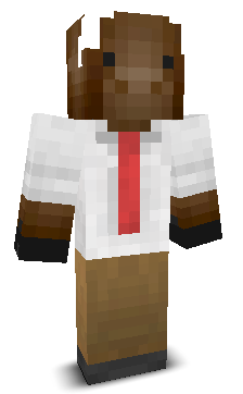 User's Minecraft appearance