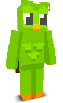 User's Minecraft appearance