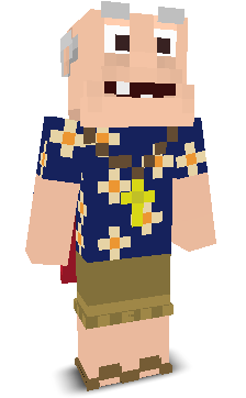 User's Minecraft appearance