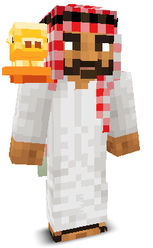 User's Minecraft appearance