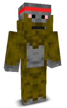 User's Minecraft appearance