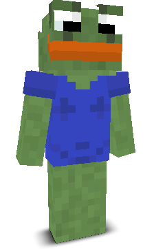 User's Minecraft appearance