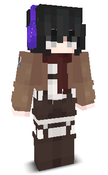 User's Minecraft appearance