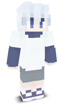 User's Minecraft appearance