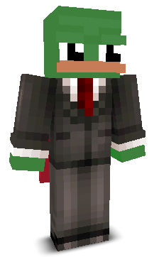User's Minecraft appearance